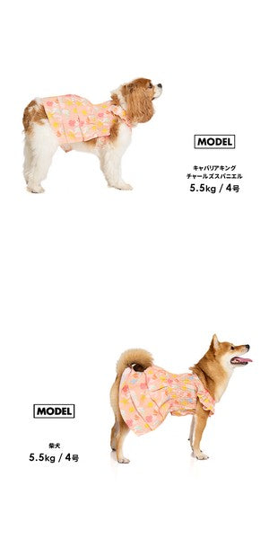 LIFELIKE 海洋圖案Aloha夏威夷洋裝 | 小型犬、中型犬 | 狗狗服飾
