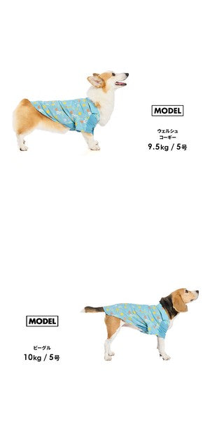 LIFELIKE 備受歡迎的Aloha襯衫