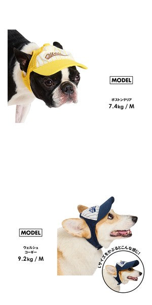 LIFELIKE棒球帽 | 小型犬、中型犬，M碼尺寸