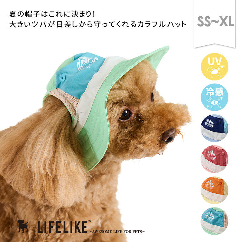 LIFELIKE清涼登山帽 | 小型犬和中型犬尺寸 (S碼 / M碼)