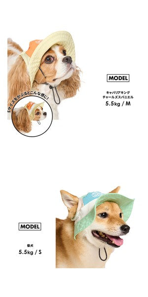 LIFELIKE清涼登山帽 | 小型犬和中型犬尺寸 (S碼 / M碼)