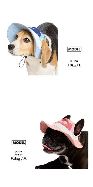 LIFELIKE清涼登山帽 | 小型犬和中型犬尺寸 (S碼 / M碼)