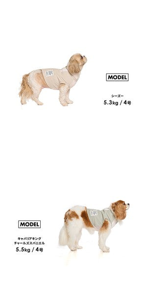 LIFELIKE “ICE Mill” COOL涼浸浸戶外背心 | 中型犬 | 狗狗服飾，附冷卻包，降溫消暑用品