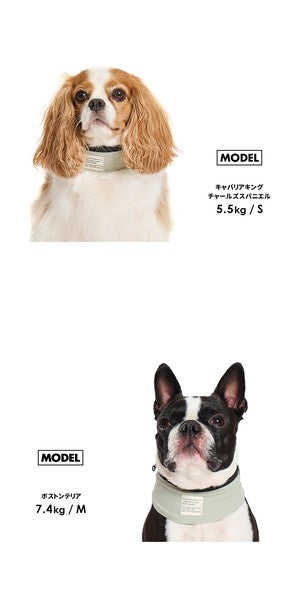 LIFELIKE “ICE Mill”狗狗戶外COOL頸巾 | 中型犬、大型犬