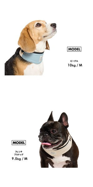 LIFELIKE “ICE Mill”狗狗戶外COOL頸巾 | 中型犬、大型犬