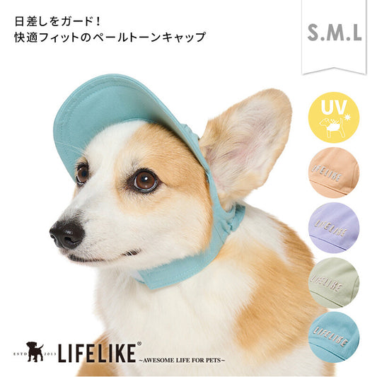 淺色帽子 | 適合小型和中型犬