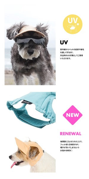 淺色帽子 | 適合小型和中型犬