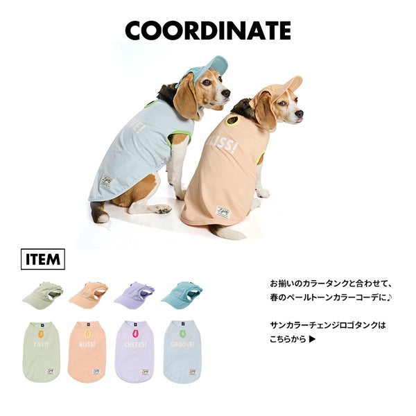 淺色帽子 | 適合小型和中型犬