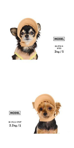 淺色帽子 | 適合小型和中型犬