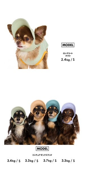 淺色帽子 | 適合小型和中型犬
