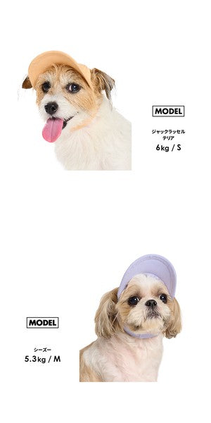 淺色帽子 | 適合小型和中型犬