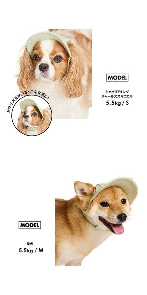 淺色帽子 | 適合小型和中型犬