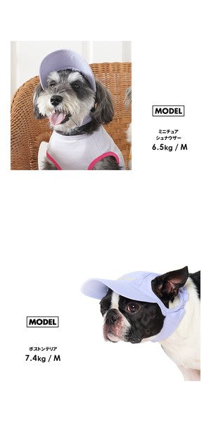 淺色帽子 | 適合小型和中型犬