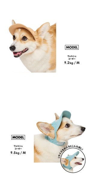 淺色帽子 | 適合小型和中型犬
