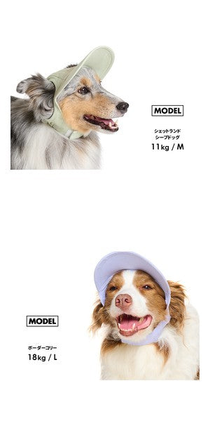 淺色帽子 | 適合小型和中型犬