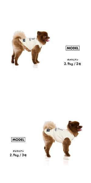 狗狗圖案背心 | 狗狗服裝，狗狗服飾，狗狗圖案，逼真原創設計狗狗背心