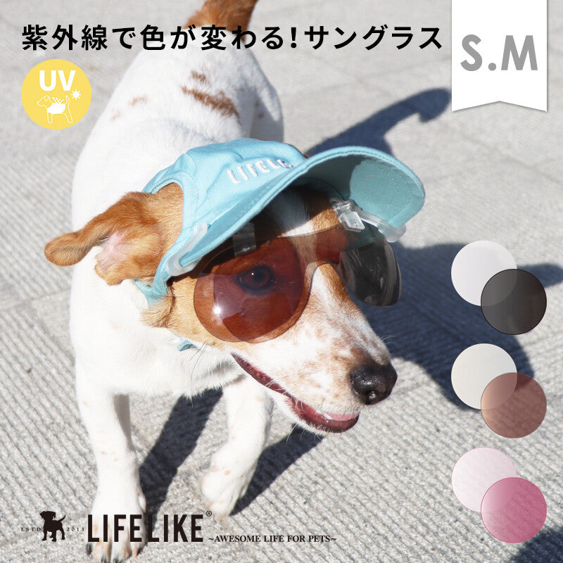 LIFELIKE 2026 NEW - 光致變色太陽眼鏡 (鴨咀帽夾式) | 99%紫外線防護 | 狗狗用品 | 太陽眼鏡