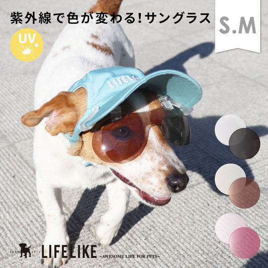 LIFELIKE 2026 NEW - 光致變色太陽眼鏡 (鴨咀帽夾式) | 99%紫外線防護 | 狗狗用品 | 太陽眼鏡