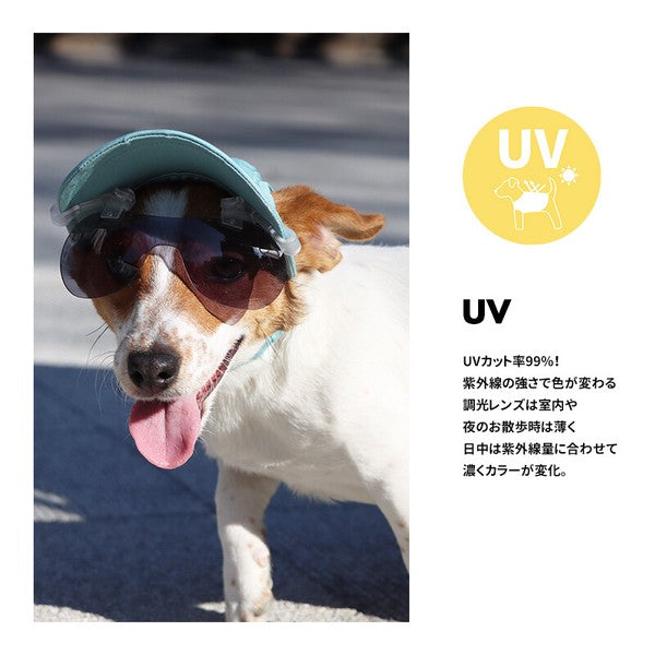LIFELIKE 2026 NEW - 光致變色太陽眼鏡 (鴨咀帽夾式) | 99%紫外線防護 | 狗狗用品 | 太陽眼鏡
