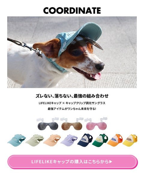 LIFELIKE 2026 NEW - 光致變色太陽眼鏡 (鴨咀帽夾式) | 99%紫外線防護 | 狗狗用品 | 太陽眼鏡