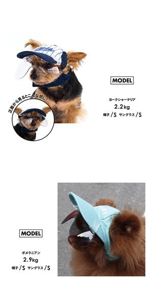 LIFELIKE 2026 NEW - 光致變色太陽眼鏡 (鴨咀帽夾式) | 99%紫外線防護 | 狗狗用品 | 太陽眼鏡
