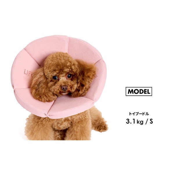 有機華夫格伊麗莎白項圈（犬用）| 狗狗用品 | 寵物護理用品