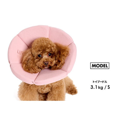 有機華夫格伊麗莎白項圈（犬用）| 狗狗用品 | 寵物護理用品