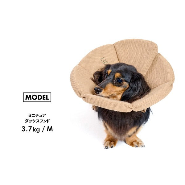 有機華夫格伊麗莎白項圈（犬用）| 狗狗用品 | 寵物護理用品