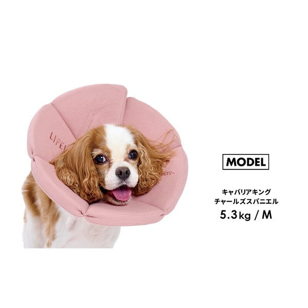 有機華夫格伊麗莎白項圈（犬用）| 狗狗用品 | 寵物護理用品