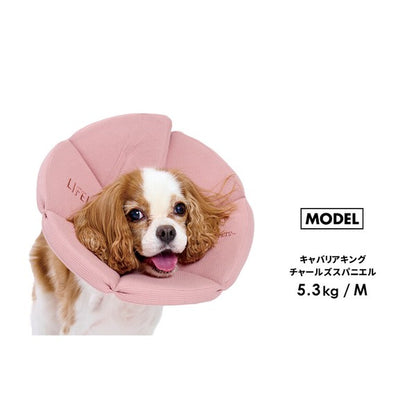 有機華夫格伊麗莎白項圈（犬用）| 狗狗用品 | 寵物護理用品