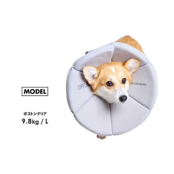 有機華夫格伊麗莎白項圈（犬用）| 狗狗用品 | 寵物護理用品